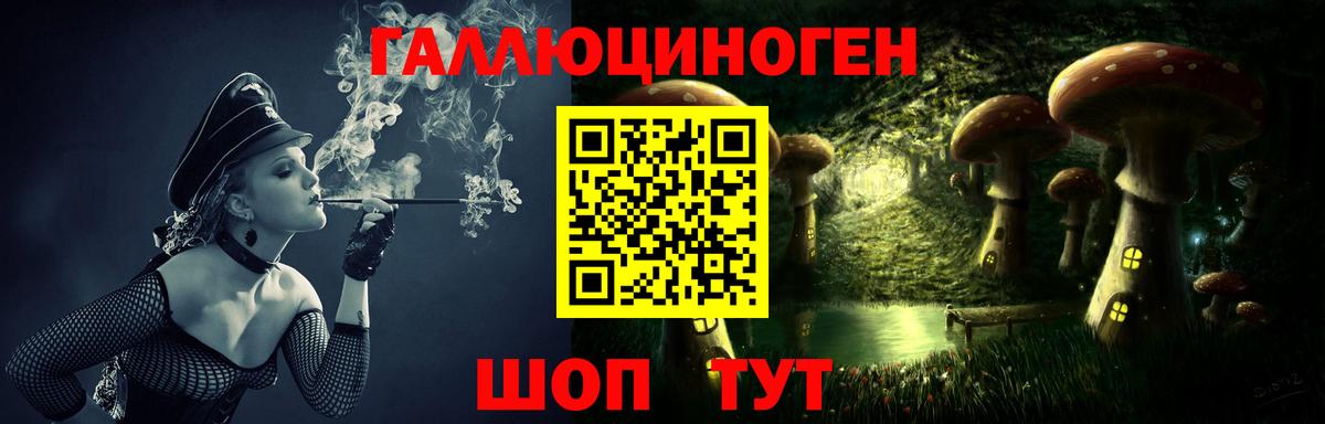 Орск  Галлюциногенные грибы Psilocybe  Вход с VPN 